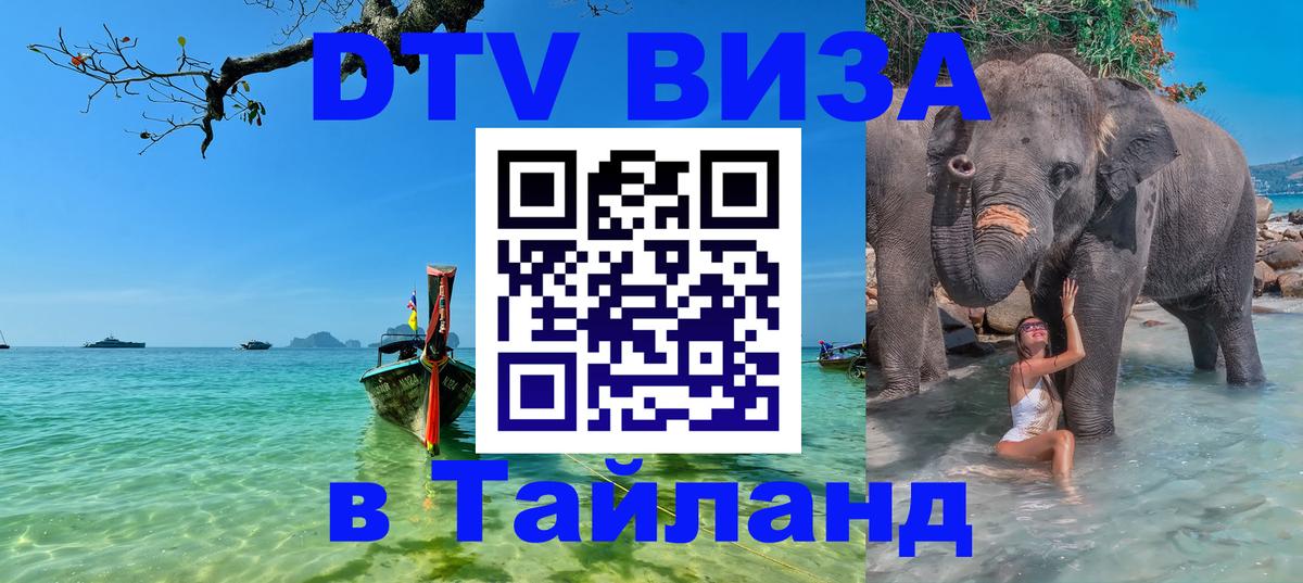 Оформление DTV визы под ключ: стоимость и тарифы, только загранпаспорт - 21.11.2025 